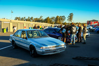 Blue Cars