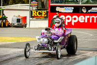 Pink, Purple Cars