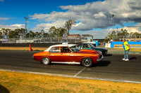 Golden  Brown Tan Cars