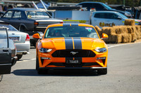 Orange Cars