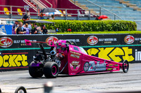 Pink, Purple Cars