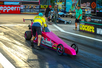 Purple Pink Cars