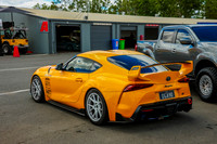 Yellow Cars