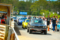 Green Cars