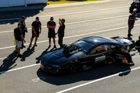 Promod