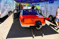 Orange Cars