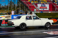 White Cars