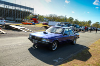 Purple Pink Cars
