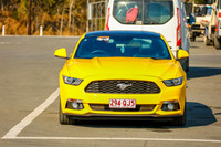 Yellow Cars