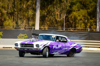 Purple Pink Cars