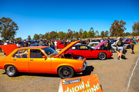 Show N Shine