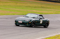 Green Cars
