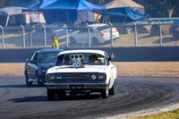 White Cars