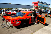 Orange Cars
