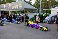 Pink, Purple Cars