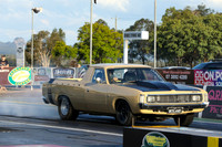 Gold, Tan, Brown Cars