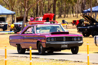 Purple Cars