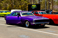 Purple Cars