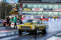 Yellow Cars