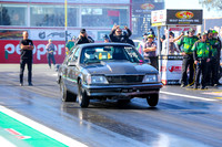 Pro Radial