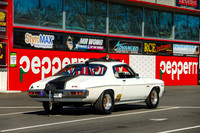 White Cars