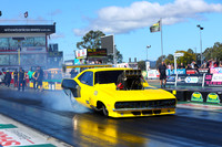 Yellow Cars