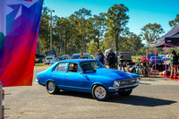 Blue Cars