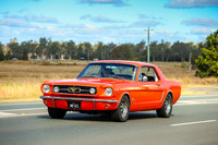 Orange Cars