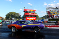 Purple & Pink Cars