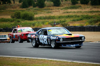 F5000 Motorfest 22nd Jan Hampton Downs 2015